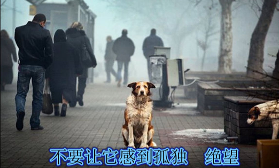 滨海新区滨海新区爱影圈微博微信转发案例